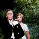 [댄스] 2. 라인들러 이미지