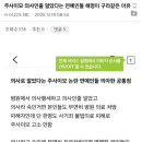 주사이모 의사로 알았다며 몰랐다고 해명한 논란 연예인들 하나같이 의아한 공통점 이미지