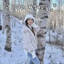 비봉로 R | [강원도인제]동절기 “속삭이는 자작나무 숲” 당일치기여행 후기(아이젠 필수!)