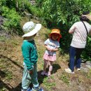 오음초병설유치원 이미지