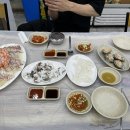 강남고양이분양 나비캣 이미지