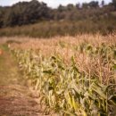 세연행정사사무소 이미지