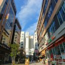 도담동_싱싱장터앞BRT 이미지