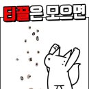 멈블(Mumble)