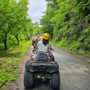 동강더하우스 이미지