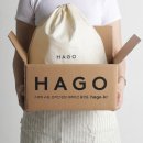 하고(HAGO) 동아일보