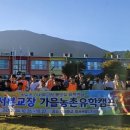 화순초등학교이서분교장 이미지