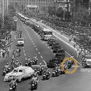 박정희로-8 이미지