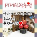 산장농원 이미지