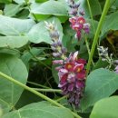 TJ게스트하우스 이미지