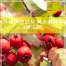 아카데미 라운지 북가좌 독서실 2월 오픈 예정