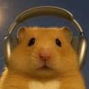 5월 1-31일