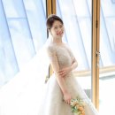 플레타플레르 이미지