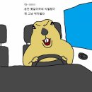 한달간의 휴가(?) 나들이 (2) _ 아빠엔 1박 렌트기 (코나N, 아이오닉5N)