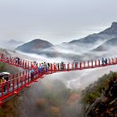 플로라 거창 이미지