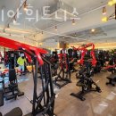 캐리비안 휘트니스 이미지