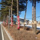 진천선수촌 진입로 이미지