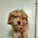 부곡파출소 이미지