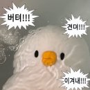 인생닭강정김해구산점 | 블태기 이겨내기 위해 써보는 2025년 봄 일상기록들