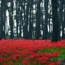 성흥농원 이미지