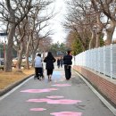 2025 섬 홍매화축제 | 임자도 2025 섬 홍매화 축제 백매화나무에서 홍매화가 피기까지