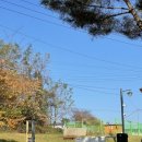 포천 화적연 캠핑장 이미지