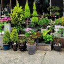 바다 행정사 사무소 이미지