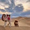 몽골 고비사막 여행 기념품 이미지