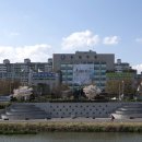 대전광역시 유성구청 네이버블로그
