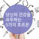 지긋지긋한 뱃살... 숨은 `주범`은 호르몬 이미지