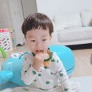준이네감귤농장 | 올 겨울 준이네농원 제주도 감귤로 함께해요~!
