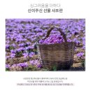 블루밍케어 네이버블로그