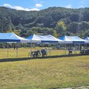 부산천막 이미지