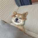 진흥카써비스 | 10월 포토덤프 *_*