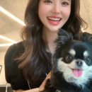 에이치스타일헤어살롱 이미지