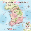 지도 왕벚나무길 | 3월에 벚꽃 보러 갔다가 타이밍 실패한 뒤 알게 된 것들, 전국 벚꽃 명소