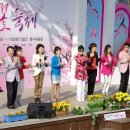 대구 팔공산 벚꽃 축제 초대가수 성주농민가수 박상하 이미지