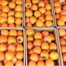 대봉농장 이미지