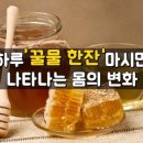 꿀물 - 부산진구 서면로 29-10 | 꿀물