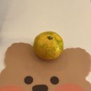 커반헤어