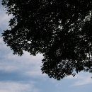 소안미라펜션 이미지