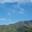 계룡산가마솥콩두부 이미지