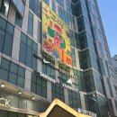 신림역 요가 직장인 추천 신림 체형 교정 그린짐 그린요가&amp;체형교정 신림