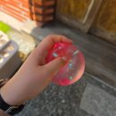 세영회관 | 37. 여름이 다정하게 지나가는 중