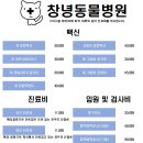 창녕동물병원 이미지