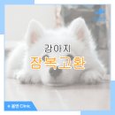 봄앤동물병원 이미지