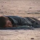 돼지두마리 이미지