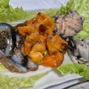 통영진다찌 이미지