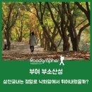부여 민제인 백마강부 각판 | 삼천궁녀는 정말로 낙화암에서 뛰어내렸을까? (유네스코 세계문화유산 백제역사유적지구, 부여 부소산성)