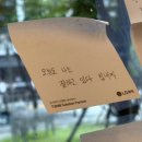 롯데아파트상가(홈세일마트, 우동롯데상가) | 6월 3주 일기